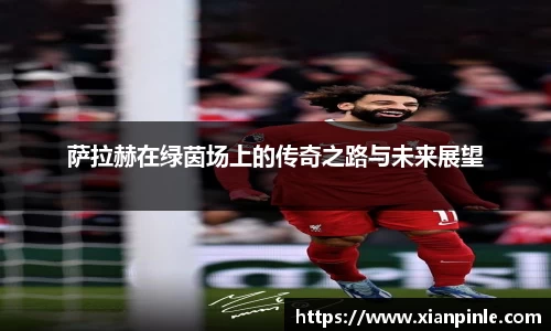 OB电竞官方网站